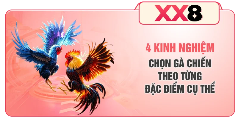 4 Kinh Nghiệm Chọn Gà Chiến Theo Từng Đặc Điểm Cụ Thể