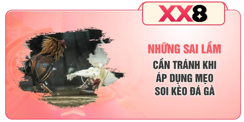 Những sai lầm cần tránh khi áp dụng mẹo soi kèo đá gà