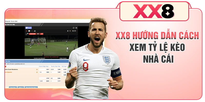 XX8 hướng dẫn cách xem tỷ lệ kèo nhà cái