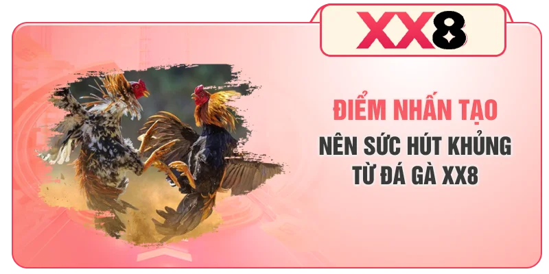 Điểm nhấn tạo nên sức hút khủng từ đá gà XX8