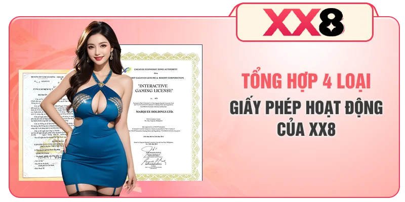 Tổng hợp 4 loại giấy phép hoạt động của XX8